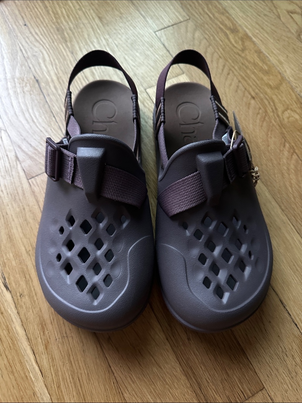 Chaco Chillos Clog Sparrow